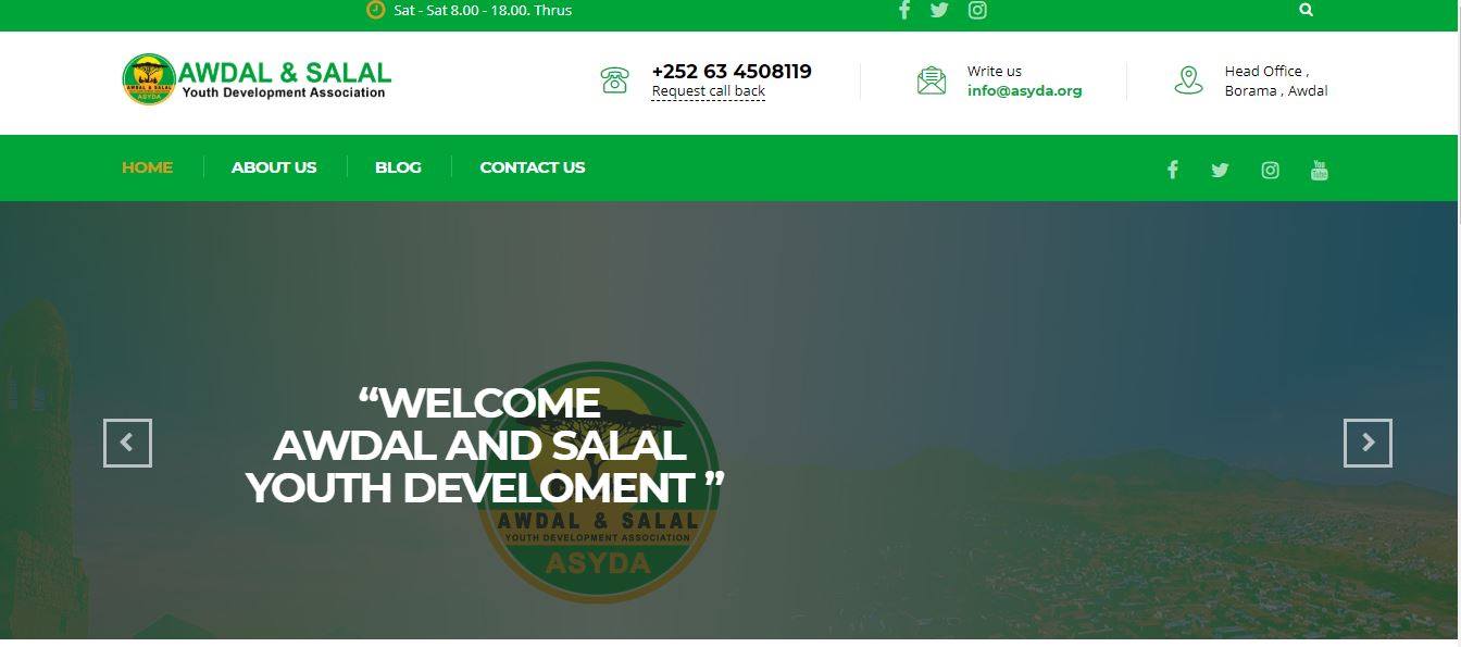 Organization Website Design